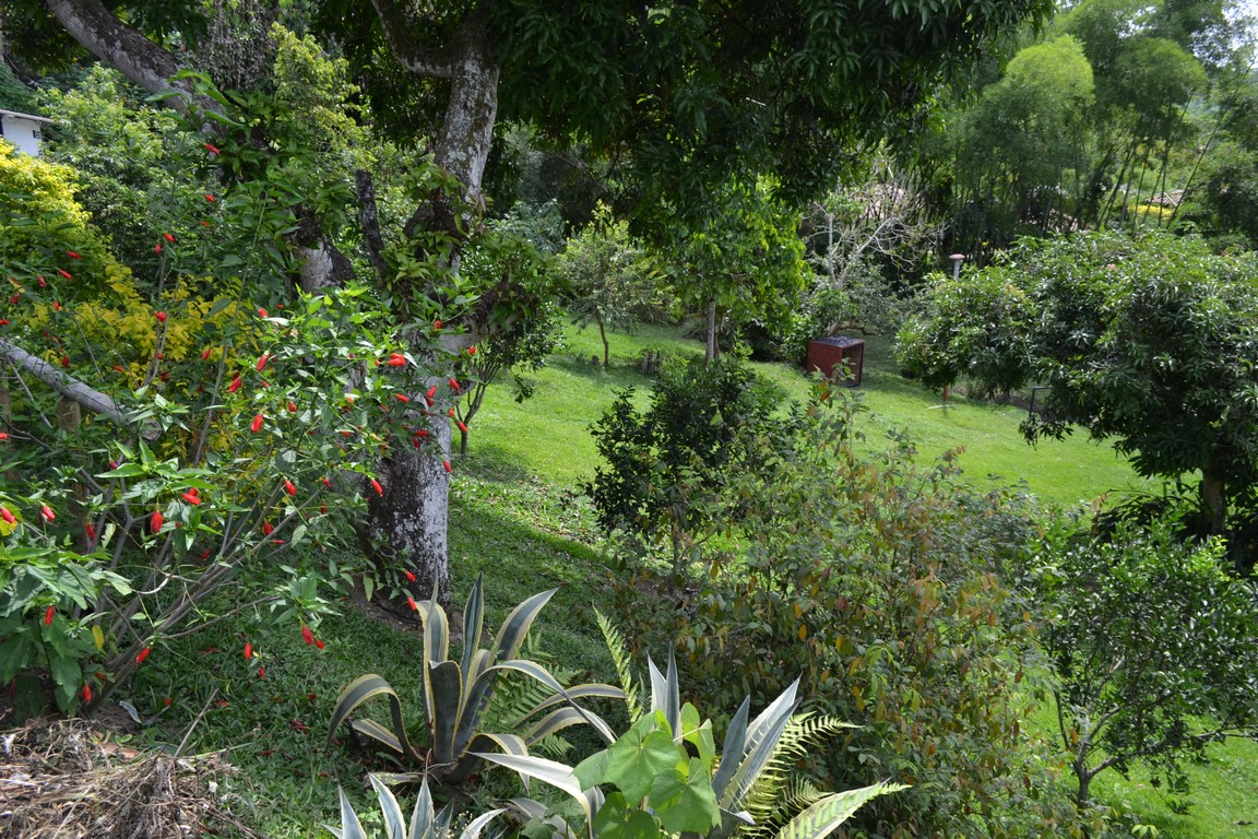 VENTA O PERMUTA POR VEHÍCULOS DE ALTA GAMA. CASA CAMPESTRE